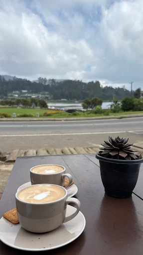 Two cappuccinos on the terrace with a cloudy lake view