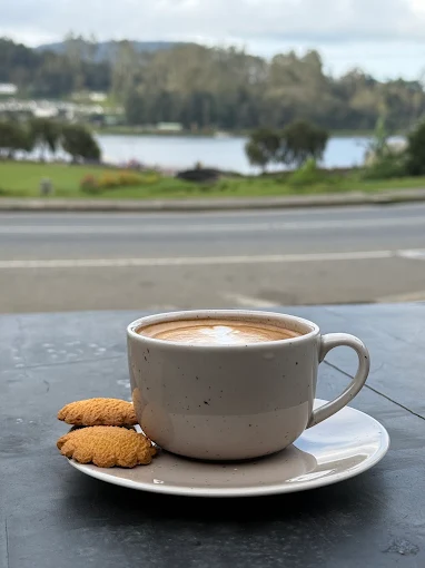 A cappuccino and biscuits with the lake and hills behind